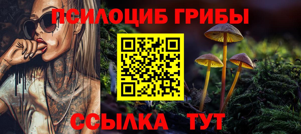 Псилоцибиновые грибы мицелий  Вход с VPN  где найти   Крымск 