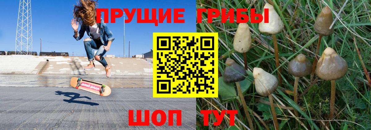 Псилоцибиновые грибы Magic Shrooms Крымск