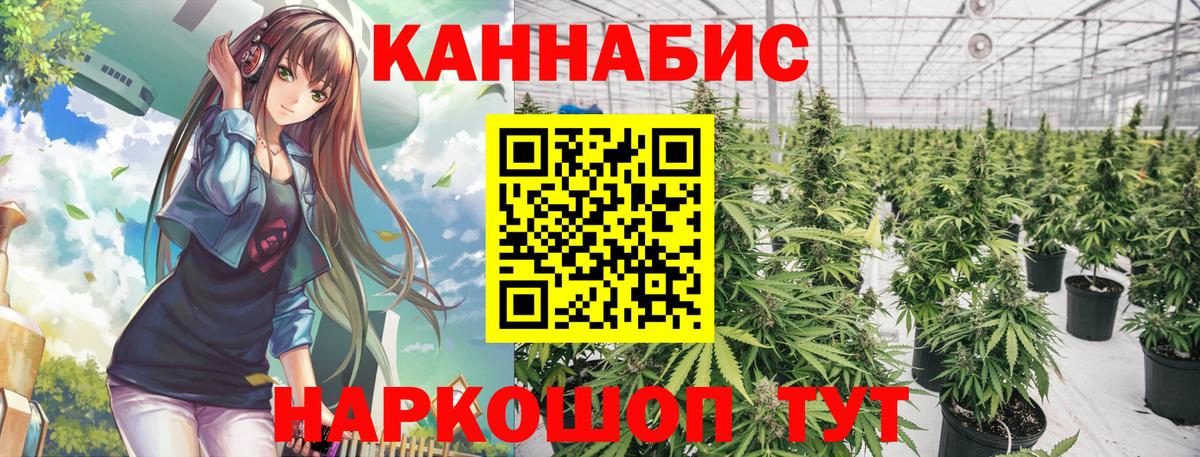 Конопля AK-47 Крымск